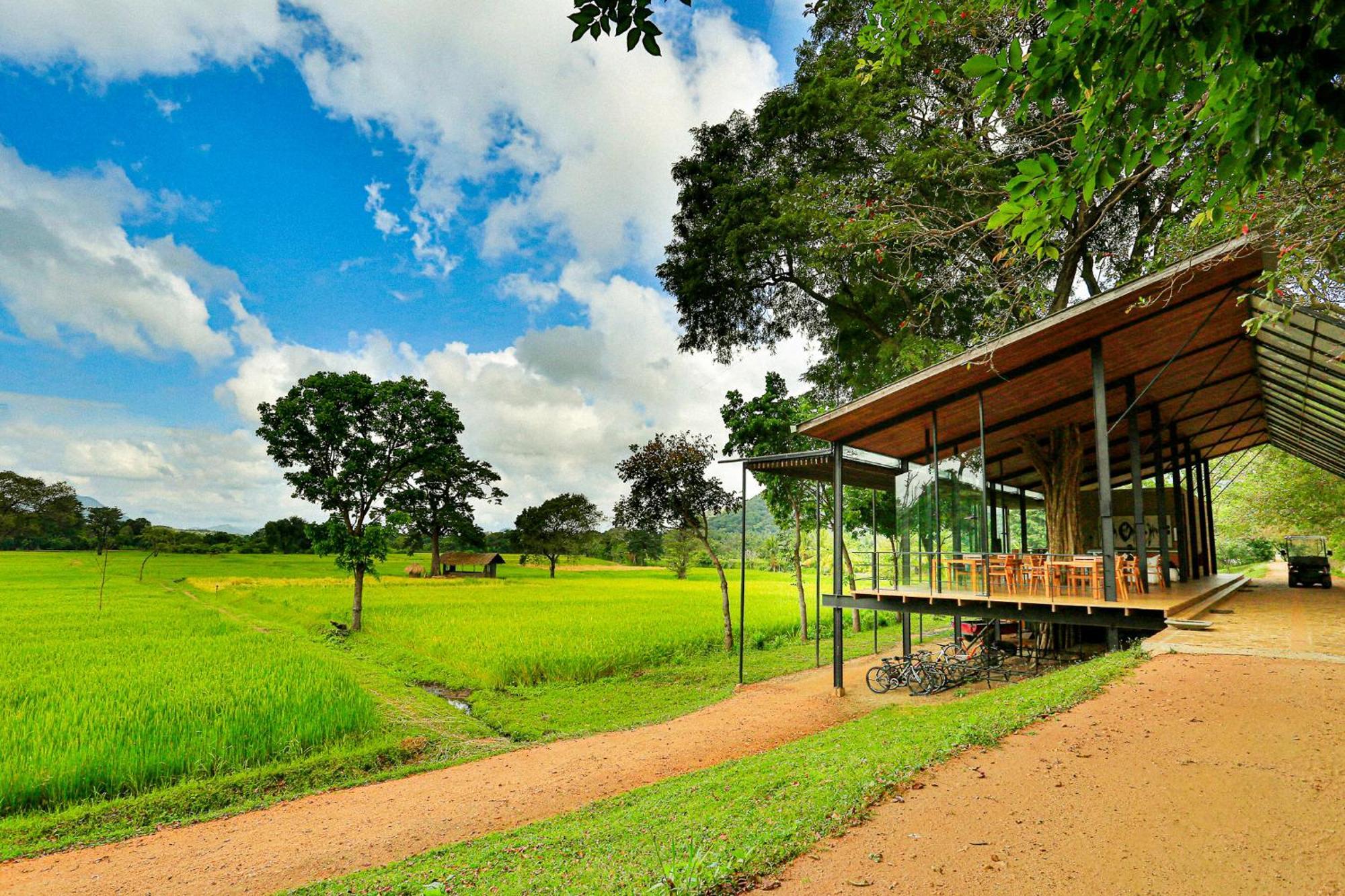 Kalundewa Retreat Hotel Dambulla Eksteriør billede